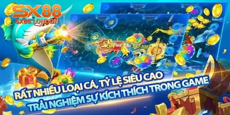 Cần săn theo kinh nghiệm