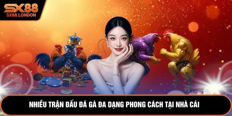 Nhiều trận đấu đá gà đa dạng phong cách tại nhà cái