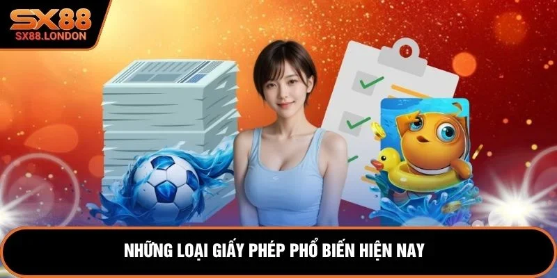 Những loại giấy phép phổ biến hiện nay