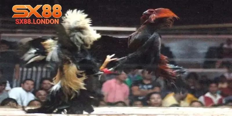 Phân tích rất cần thiết