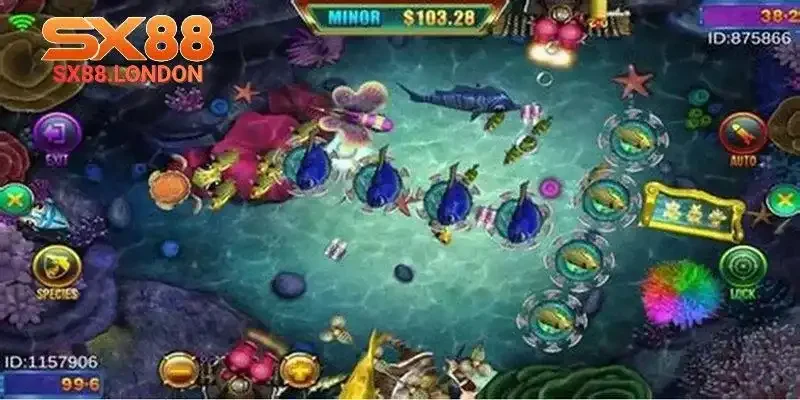 Quan sát sự chuyển động