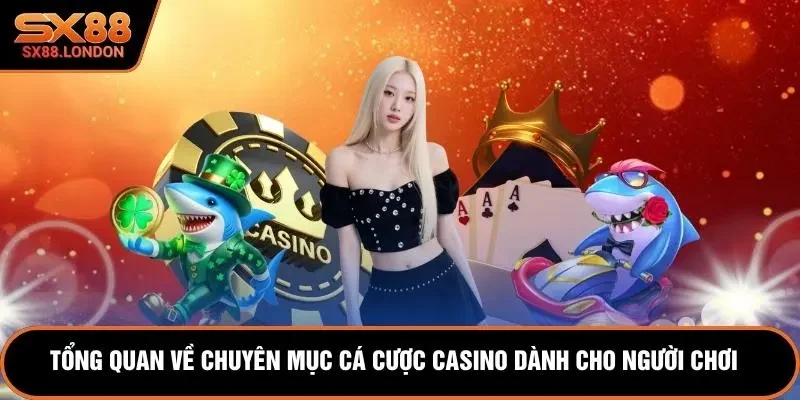 Tổng quan về chuyên mục cá cược casino dành cho người chơi