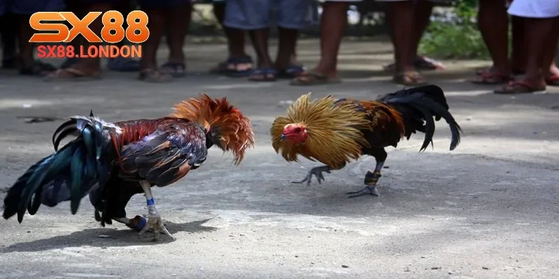 Yếu tố cần phải tránh